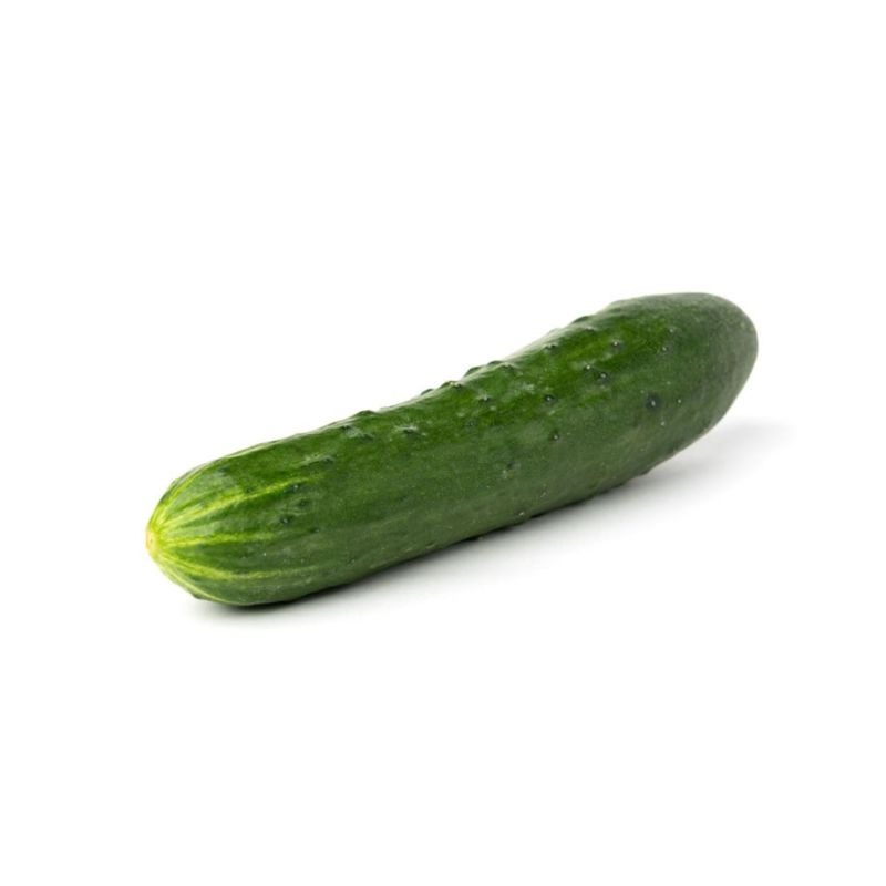 concombre-noa